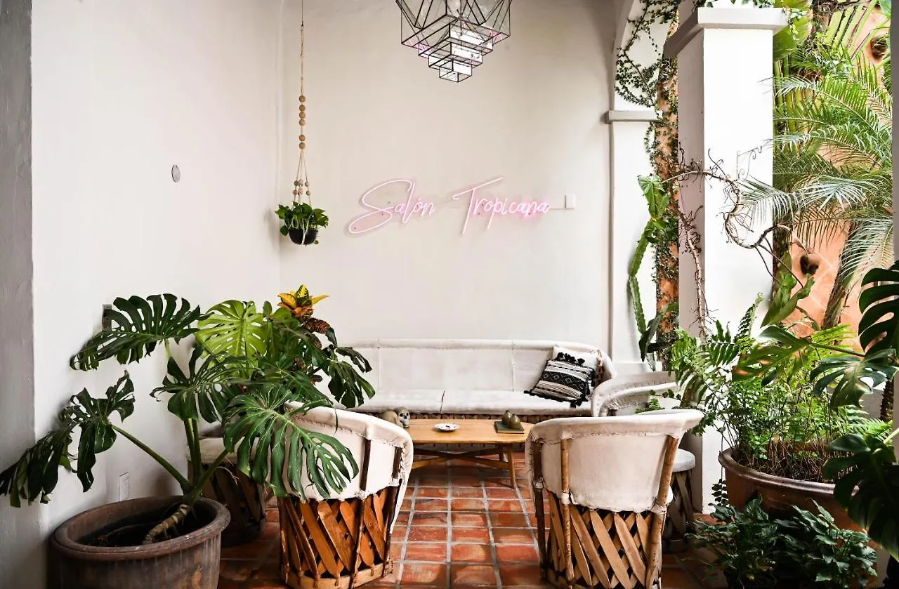Hotel Casa Blanco By Barrio Mexico Guadalajara